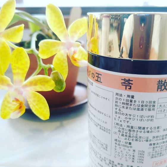 5 8 6 ピノキオ薬局ホームページ